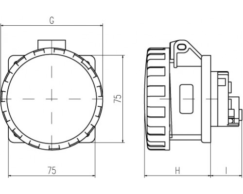 DIS4271663 | Розетка панельная IP67 16A 2P+E 230В