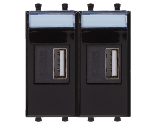 USB зарядное устройство модульное, Avanti, Черный квадрат, 2 модуля 4402542 | USB зарядное устройство модульное, Avanti, Черный квадрат, 2 модуля
