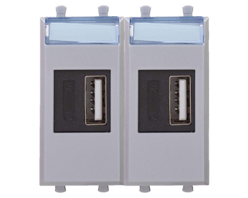 USB зарядное устройство модульное, Avanti, Закаленная сталь, 2модуля 4404542 | USB зарядное устройство модульное, Avanti, Закаленная сталь, 2модуля