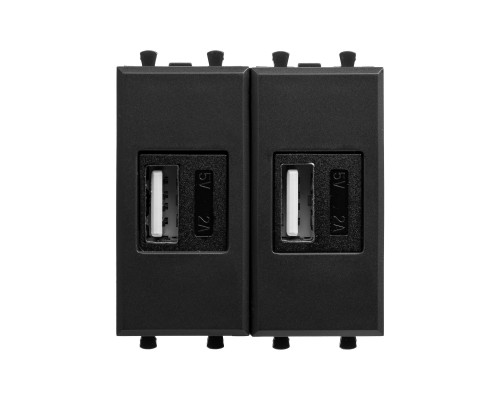 USB зарядное устройство модульное, Avanti, Черный матовый, 2 модуля 4412542 | USB зарядное устройство модульное, Avanti, Черный матовый, 2 модуля