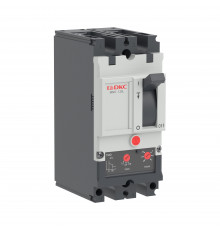 Автоматический выключатель YON pro MNX125L 2P 100A 70kA при AC240V расц. TMD