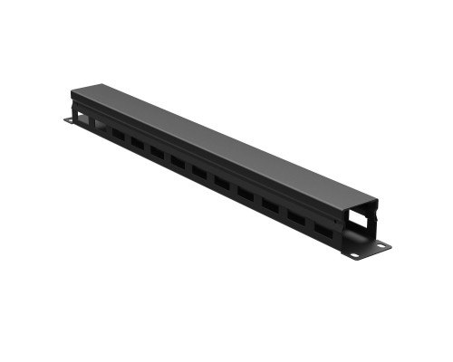 Кабельный органайзер с крышкой 1U, глубина 40 мм, для 19 IT-корпусов, RAL9005 R5CP1941HEB | Кабельный органайзер с крышкой 1U, глубина 40 мм, для 19 IT-корпусов, RAL9005