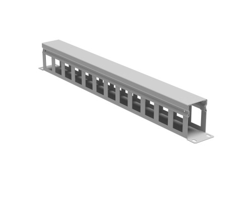 Кабельный органайзер с крышкой 1U, глубина 60 мм, для 19 IT-корпусов, RAL7035 R5CP1961HE | Кабельный органайзер с крышкой 1U, глубина 60 мм, для 19 IT-корпусов, RAL7035