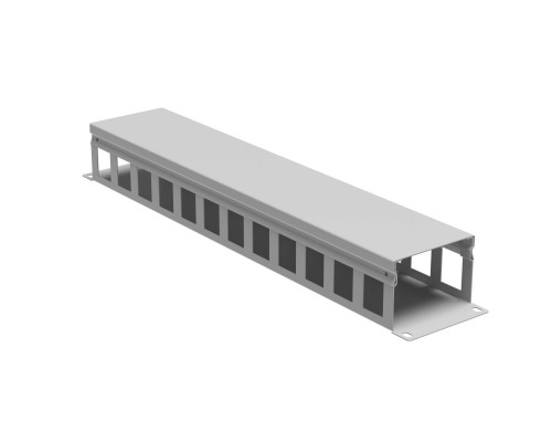 Кабельный органайзер с крышкой 2U, глубина 60 мм, для 19 IT-корпусов, RAL7035 R5CP1962HE | Кабельный органайзер с крышкой 2U, глубина 60 мм, для 19 IT-корпусов, RAL7035