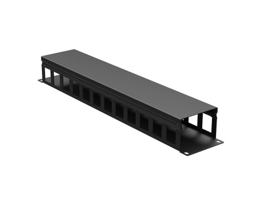 Кабельный органайзер с крышкой 2U, глубина 60 мм, для 19 IT-корпусов, RAL9005 R5CP1962HEB | Кабельный органайзер с крышкой 2U, глубина 60 мм, для 19 IT-корпусов, RAL9005