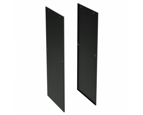 Панель боковая для напольных 19 IT-корпусов ДКС серии CQE, 2 шт, 2000x1000, RAL9005, старого образца R5ITCPELK20100B | Панель боковая для напольных 19 IT-корпусов ДКС серии CQE, 2 шт, 2000x1000, RAL9005, старого образца