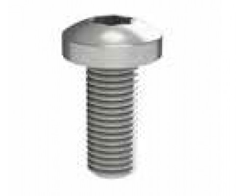 Винт М5х12 под шлиц Torx, 100 шт. R5M512 | Винт М5х12 под шлиц Torx, 100 шт.