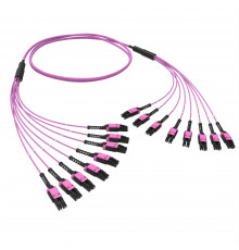 Оптическая разветвительная сборка 16 ОВ, 50/125 OM4, 8xLC-UPC Duplex Uniboot/8xLC-UPC Duplex Uniboot, тип полярности - прямая (Tx-->Rx), 3 м