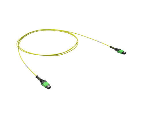 Патчкорд 12ОВ 9/125 OS2, 1xMTP PRO (12)/1xMTP PRO(12), 5м RNPCFF12SB05 | Патчкорд 12ОВ 9/125 OS2, 1xMTP PRO (12)/1xMTP PRO(12), 5м